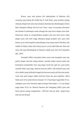 5
Konon, ayam arab pertama kali diperkenalkan di Indonesia oleh
seseorang yang pulang dari ibadah haji di Arab Saudi, yang membawa pulang
sebanyak delapan butir telur tetas kemudian ditetaskan dan dikembangkan di Kota
Batu, Kabupaten Malang, Provinsi Jawa Timur. Ayam ini kemudian dibesarkan
dan diumbar di pekarangan rumah sehingga ada yang kawin dengan ayam lokal.
Perkawinan silang ini memperlihatkan produksi telur dari hasil kawin silang
dengan ayam arab lebih tinggi dibanding dengan produksi telur ayam lokal
lainnya, ayam arab mengalami perkembangan yang sangat cepat di Surabaya, dan
terakhir di Jakarta, tatapi strain aslinya (parent stock) sudah tidak ada. Strain asli
ayam arab yang dikembangkan di Indonesia adalah ayam arab silver (Sulandari
dkk., 2007).
Pambudhi (2003) menyatakan bahwa ayam arab merupakan ayam tipe
petelur dengan sifat-sifat sebagai berikut: memiliki tingkat esistensi pakan dan
kemampuan memproduksi telur yang tinggi, lincah dan agak liar, ayam jantan
memiliki libido yang tinggi. Menurut Sarwono (2001), sifat kualitatif ayam arab
silver adalah: jenger berbentuk tunggal dan berwarna merah, pial berwarna merah,
warna bulu putih dengan sedikit totol-totol hitam dan garis keputihan. Bobot
badan ayam silver jantan dewasa mencapai 1,5-1,8 kg dengan tinggi badan 30 cm,
sedangkan ayam silver betinanya dapat mencapai bobot badan 1,1-1,2 kg dengan
tinggi badan 22-25 cm. Menurut Darmana dan Sitanggang (2002) ayam arab
betina dewasa mampu menghasilkan ± 200 butir telur per tahun dengan berat
telur rata-rata 40 gram.
 