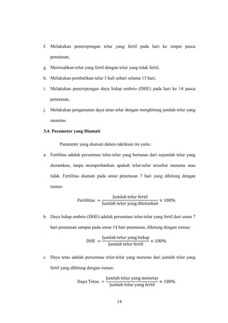 14
f. Melakukan peneropongan telur yang fertil pada hari ke empat pasca
penetasan,
g. Memisahkan telur yang fertil dengan telur yang tidak fertil,
h. Melakukan pembalikan telur 3 kali sehari selama 13 hari,
i. Melakukan peneropongan daya hidup embrio (DHE) pada hari ke 14 pasca
penetasan,
j. Melakukan pengamatan daya tetas telur dengan menghitung jumlah telur yang
menetas.
3.4. Parameter yang Diamati
Parameter yang diamati dalam raktikum ini yaitu :
a. Fertilitas adalah persentase telur-telur yang bertunas dari sejumlah telur yang
dieramkan, tanpa memperhatikan apakah telur-telur tersebut menetas atau
tidak. Fertilitas diamati pada umur penetasan 7 hari yang dihitung dengan
rumus:
b. Daya hidup embrio (DHE) adalah persentase telur-telur yang fertil dari umur 7
hari penetasan sampai pada umur 14 hari penetasan, dihitung dengan rumus:
c. Daya tetas adalah persentase telur-telur yang menetas dari jumlah telur yang
fertil yang dihitung dengan rumus:
 