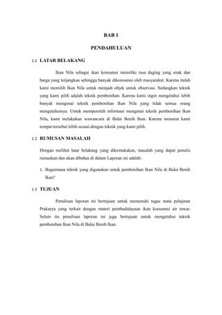 Laporan pembudidayaan ikan konsumsi air tawar (pembenihan ikan nila) | RTF