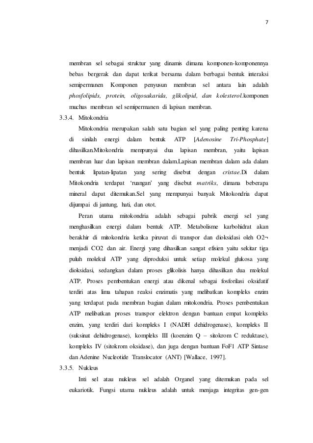 Laporan pendahuluan morfologi sel