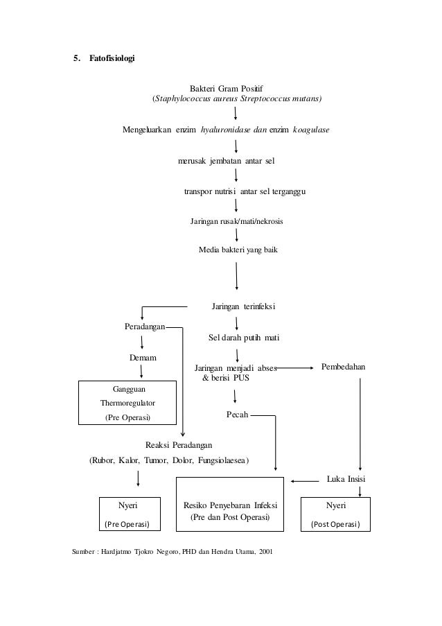 Laporan Pendahuluan Dan Askep Ca Mamae Lengkap Seputar Laporan Pendahuluan Dan Askep Ca Mamae Lengkap Seputar