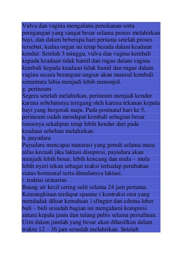 Laporan pendahuluan asuhan keperawatan ibu dengan post 