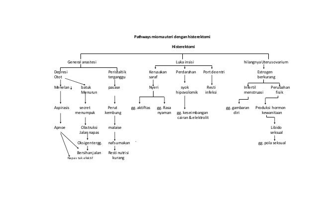 Laporan Pendahuluan Mioma Uteri 2020 Seputar Laporan