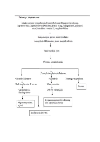 Laporan pendahuluan nefrolitiasis