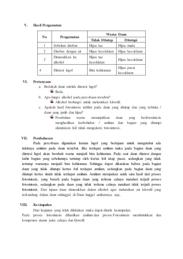 Laporan Percobaan Sach