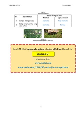Menjelajahi Keajaiban Kehidupan: Panduan Praktik IPA Biologi Kelas 4 SD