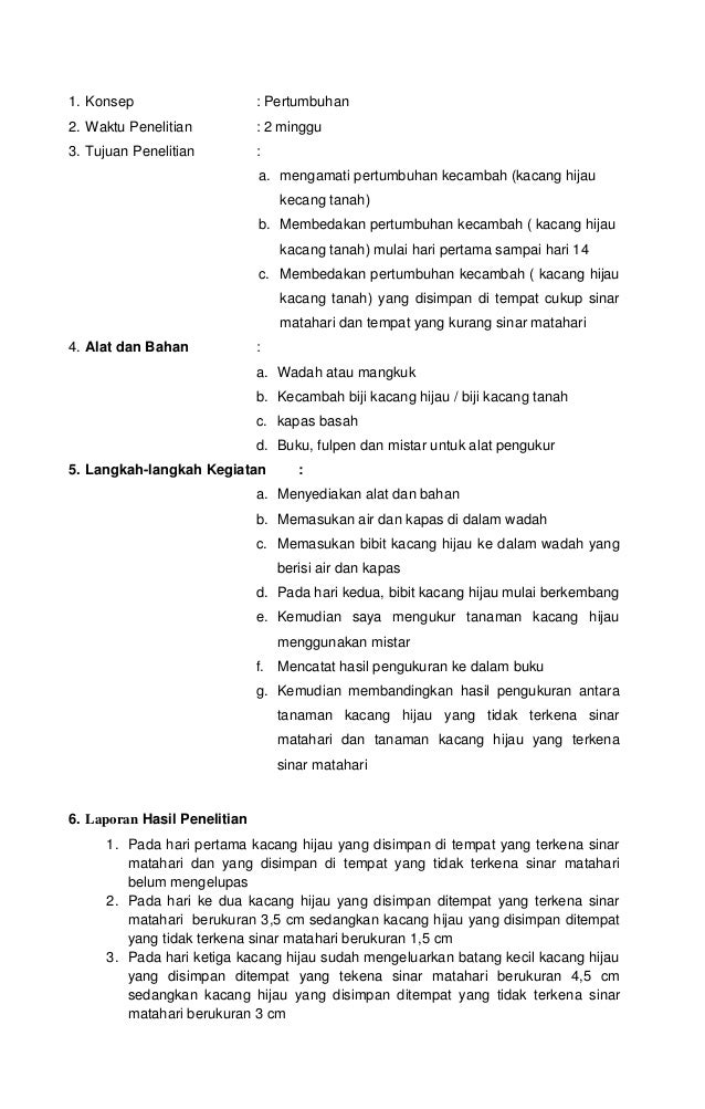 Laporan praktek kacang panjang sd raha