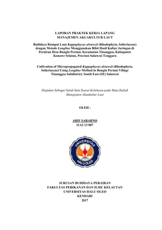 i
LAPORAN PRAKTEK KERJA LAPANG
MANAJEMEN AKUAKULTUR LAUT
Budidaya Rumput Laut Kappaphycus alvarezii (Rhodophyta, Solieriaceae)
dengan Metode Longline Menggunakan Bibit Hasil Kultur Jaringan di
Perairan Desa Bungin Permai, Kecamatan Tinanggea, Kabupaten
Konawe Selatan, Provinsi Sulawesi Tenggara
Cultivation of Micropropagated Kappaphycus alvarezii (Rhodophyta,
Solieriaceae) Using Longline Method in Bungin Permai Village
Tinanggea Subdistrict, South East (SE) Sulawesi
Diajukan Sebagai Salah Satu Syarat Kelulusan pada Mata Kuliah
Manajemen Akuakultur Laut
OLEH :
ARIF SABARNO
I1A2 13 087
JURUSAN BUDIDAYA PERAIRAN
FAKULTAS PERIKANAN DAN ILMU KELAUTAN
UNIVERSITAS HALU OLEO
KENDARI
2017
i
LAPORAN PRAKTEK KERJA LAPANG
MANAJEMEN AKUAKULTUR LAUT
Budidaya Rumput Laut Kappaphycus alvarezii (Rhodophyta, Solieriaceae)
dengan Metode Longline Menggunakan Bibit Hasil Kultur Jaringan di
Perairan Desa Bungin Permai, Kecamatan Tinanggea, Kabupaten
Konawe Selatan, Provinsi Sulawesi Tenggara
Cultivation of Micropropagated Kappaphycus alvarezii (Rhodophyta,
Solieriaceae) Using Longline Method in Bungin Permai Village
Tinanggea Subdistrict, South East (SE) Sulawesi
Diajukan Sebagai Salah Satu Syarat Kelulusan pada Mata Kuliah
Manajemen Akuakultur Laut
OLEH :
ARIF SABARNO
I1A2 13 087
JURUSAN BUDIDAYA PERAIRAN
FAKULTAS PERIKANAN DAN ILMU KELAUTAN
UNIVERSITAS HALU OLEO
KENDARI
2017
i
LAPORAN PRAKTEK KERJA LAPANG
MANAJEMEN AKUAKULTUR LAUT
Budidaya Rumput Laut Kappaphycus alvarezii (Rhodophyta, Solieriaceae)
dengan Metode Longline Menggunakan Bibit Hasil Kultur Jaringan di
Perairan Desa Bungin Permai, Kecamatan Tinanggea, Kabupaten
Konawe Selatan, Provinsi Sulawesi Tenggara
Cultivation of Micropropagated Kappaphycus alvarezii (Rhodophyta,
Solieriaceae) Using Longline Method in Bungin Permai Village
Tinanggea Subdistrict, South East (SE) Sulawesi
Diajukan Sebagai Salah Satu Syarat Kelulusan pada Mata Kuliah
Manajemen Akuakultur Laut
OLEH :
ARIF SABARNO
I1A2 13 087
JURUSAN BUDIDAYA PERAIRAN
FAKULTAS PERIKANAN DAN ILMU KELAUTAN
UNIVERSITAS HALU OLEO
KENDARI
2017
 