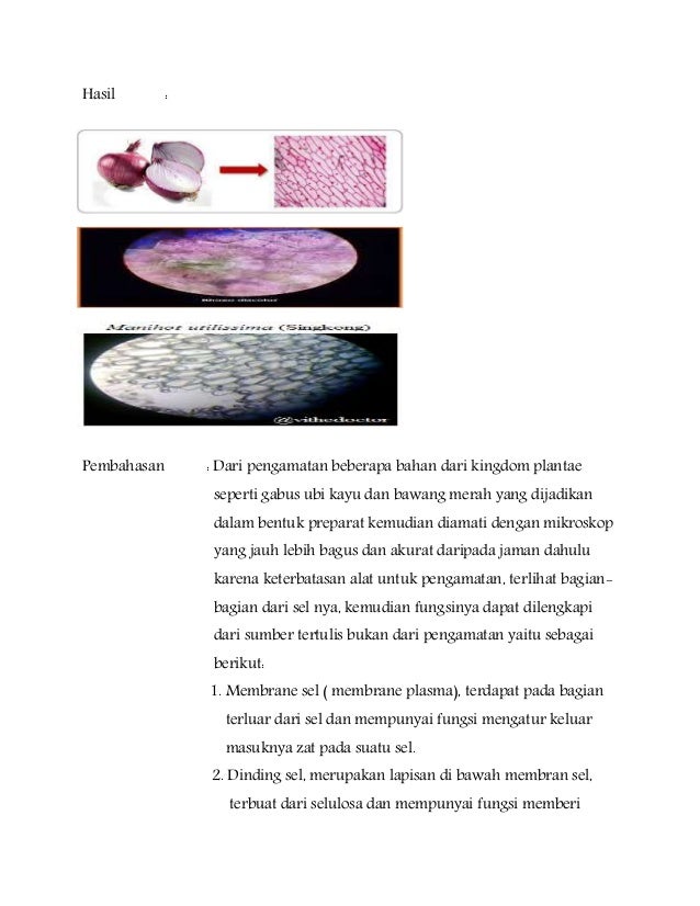 Laporan Praktikum Mengamati Sel