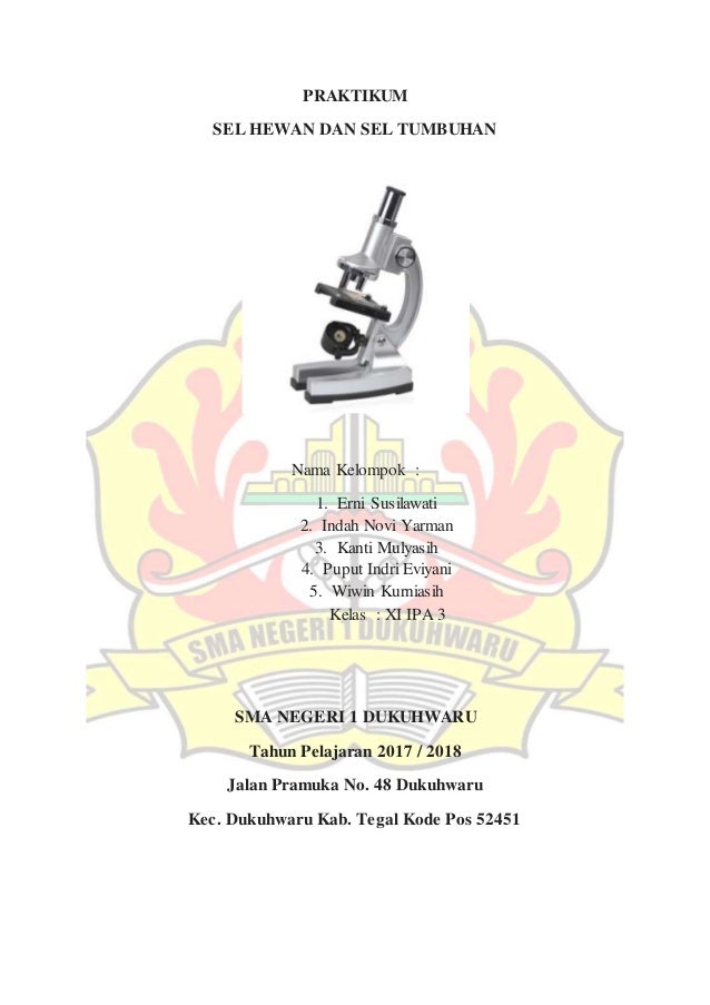 Laporan Praktikum Mikroskop