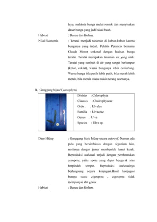 layu, mahkota bunga mulai rontok dan menyisakan 
dasar bunga yang jadi bakal buah. 
Habitat : Danau dan Kolam. 
Nilai Ekonomis : Teratai menjadi tanaman di kebun-kebun karena 
bunganya yang indah. Pelukis Perancis bernama 
Claude Monet terkenal dengan lukisan bunga 
teratai. Teratai merupakan tanaman air yang unik. 
Teratai yang tumbuh di air yang sangat berlumpur 
(kotor, coklat), warna bunganya lebih cemerlang. 
Warna bunga bila putih lebih putih, bila merah lebih 
merah, bila merah muda makin terang warnanya. 
B. Ganggang hijau(Cyanophyta) 
Divisio : Chlorophyta 
Classsis : Cholrophyceae 
Ordo : Ulvales 
Familia : Ulvaceae 
Genus : Ulva 
Species : Ulva sp. 
Daur Hidup : Ganggang hiaju hidup secara autotrof. Namun ada 
pula yang bersimbiosis dengan organism lain, 
mislanya dengan jamur membentuk lumut kerak. 
Reproduksi aseksual terjadi dengan pembentukan 
zoospore, yaitu spora yang dapat bergerak atau 
berpindah tempat. Reproduksi aseksualnya 
berlangsung secara konjugasi.Hasil konjugasi 
berupa suatu zigospora , zigospora tidak 
mempunyai alat gerak. 
Habitat : Danau dan Kolam. 
 