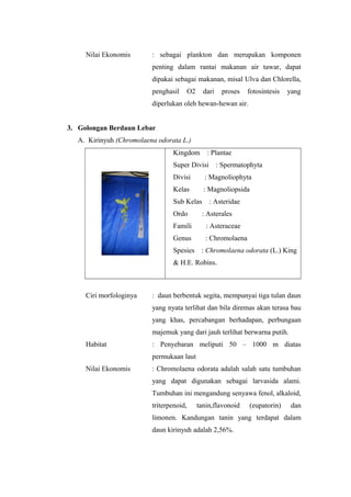 Nilai Ekonomis : sebagai plankton dan merupakan komponen 
penting dalam rantai makanan air tawar, dapat 
dipakai sebagai makanan, misal Ulva dan Chlorella, 
penghasil O2 dari proses fotosintesis yang 
diperlukan oleh hewan-hewan air. 
3. Golongan Berdaun Lebar 
A. Kirinyuh (Chromolaena odorata L.) 
Kingdom : Plantae 
Super Divisi : Spermatophyta 
Divisi : Magnoliophyta 
Kelas : Magnoliopsida 
Sub Kelas : Asteridae 
Ordo : Asterales 
Famili : Asteraceae 
Genus : Chromolaena 
Spesies : Chromolaena odorata (L.) King 
& H.E. Robins. 
Ciri morfologinya : daun berbentuk segita, mempunyai tiga tulan daun 
yang nyata terlihat dan bila diremas akan terasa bau 
yang khas, percabangan berhadapan, perbungaan 
majemuk yang dari jauh terlihat berwarna putih. 
Habitat : Penyebaran meliputi 50 – 1000 m diatas 
permukaan laut 
Nilai Ekonomis : Chromolaena odorata adalah salah satu tumbuhan 
yang dapat digunakan sebagai larvasida alami. 
Tumbuhan ini mengandung senyawa fenol, alkaloid, 
triterpenoid, tanin,flavonoid (eupatorin) dan 
limonen. Kandungan tanin yang terdapat dalam 
daun kirinyuh adalah 2,56%. 
 