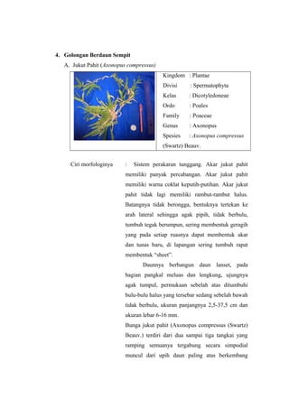 4. Golongan Berdaun Sempit 
A. Jukut Pahit (Axonopus compressus) 
Kingdom : Plantae 
Divisi : Spermatophyta 
Kelas : Dicotyledoneae 
Ordo : Poales 
Family : Poaceae 
Genus : Axonopus 
Spesies : Axonopus compressus 
(Swartz) Beauv. 
Ciri morfologinya : Sistem perakaran tunggang. Akar jukut pahit 
memiliki panyak percabangan. Akar jukut pahit 
memiliki warna coklat keputih-putihan. Akar jukut 
pahit tidak lagi memiliki rambut-rambut halus. 
Batangnya tidak berongga, bentuknya tertekan ke 
arah lateral sehingga agak pipih, tidak berbulu, 
tumbuh tegak berumpun, sering membentuk geragih 
yang pada setiap ruasnya dapat membentuk akar 
dan tunas baru, di lapangan sering tumbuh rapat 
membentuk “sheet”. 
Daunnya berbangun daun lanset, pada 
bagian pangkal meluas dan lengkung, ujungnya 
agak tumpul, permukaan sebelah atas ditumbuhi 
bulu-bulu halus yang tersebar sedang sebelah bawah 
tidak berbulu, ukuran panjangnya 2,5-37,5 cm dan 
ukuran lebar 6-16 mm. 
Bunga jukut pahit (Axonopus compressus (Swartz) 
Beauv.) terdiri dari dua sampai tiga tangkai yang 
ramping semuanya tergabung secara simpodial 
muncul dari upih daun paling atas berkembang 
 