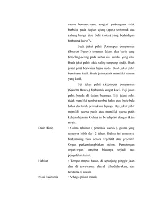 secara berturut-turut, tangkai perbungaan tidak 
berbulu, pada bagian ujung (apex) terbentuk dua 
cabang bunga atau bulir (spica) yang berhadapan 
berbentuk huruf V. 
Buah jukut pahit (Axonopus compressus 
(Swartz) Beauv.) tersusun dalam dua baris yang 
berselang-seling pada kedua sisi sumbu yang rata. 
Buah jukut pahit tidak saling tumpang tindih. Buah 
jukut pahit berwarna hijau muda. Buah jukut pahit 
berukuran kecil. Buah jukut pahit memiliki ukuran 
yang kecil. 
Biji jukut pahit (Axonopus compressus 
(Swartz) Beauv.) berbentuk sangat kecil. Biji jukut 
pahit berada di dalam buahnya. Biji jukut pahit 
tidak memiliki rambut-rambut halus atau bulu-bulu 
halus diseluruh permukaan bijinya. Biji jukut pahit 
memiliki warna putih atau memiliki warna putih 
kehijau-hijauan. Gulma ini beradaptasi dengan iklim 
tropis. 
Daur Hidup : Gulma tahunan ( perennial weeds ), gulma yang 
umurnya lebih dari 2 tahun. Gulma ini umumnya 
berkembang biak secara vegetatif dan generatif. 
Organ perkembangbiakan stolon. Pemotongan 
organ-organ tersebut biasanya terjadi saat 
pengolahan tanah. 
Habitat : Tempat-tempat basah, di sepanjang pinggir jalan 
dan di rawa-rawa, daerah dibudidayakan, dan 
terutama di sawah 
Nilai Ekonomis : Sebagai pakan ternak 
 