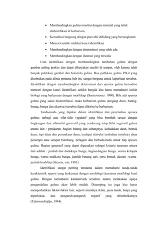 · Membandingkan gulma tersebut dengan material yang telah 
diidentifikasi di herbarium. 
· Konsultasi langsung dengan para ahli dibidang yang bersangkutan 
· Mencari sendiri melalui kunci identifikasi 
· Membandingkan dengan determinasi yang telah ada. 
· Membandingkan dengan ilustrasi yang tersedia 
Cara identifikasi dengan membandingkan tumbuhan gulma dengan 
gambar paling praktis dan dapat dikerjakan sendiri di tempat, oleh karena telah 
banyak publikasi gambar dan foto-foto gulma. Dua publikasi gulma P3GI yang 
disebutkan pada alinia pertama bab ini, sangat berguna untuk keperluan tersebut. 
Identifikasi dengan membandingkan determinasi dari spesies gulma kemudian 
mencari dengan kunci identifikasi sedikit banyak kita harus memahami istilah 
biologi yang berkenaan dengan morfologi (Sastroutomo. 1990). Bila ada spesies 
gulma yang sukar diidentifikasi, maka herbarium gulma (lengkap daun, batang, 
bunga, bunga dan akarnya) tersebut dapat dikirim ke herbarium. 
Tanda-tanda yang dipakai dalam identifikasi dan penelaahan spesies 
gulma; terbagi atas sifat-sifat vegetatif yang bisa berubah sesuai dengan 
lingkungan dan sifat-sifat generatif yang cenderung tetap.Sifat vegetatif gulma 
antara lain : perakaran, bagian batang dan cabangnya, kedudukan daun, bentuk 
daun, tepi daun dan permukaan daun, terdapat alat-alat tambahan misalnya daun 
penumpu atau selaput bumbung, beragam dan berbeda-beda untuk tiap spesies 
gulma. Bagian generatif yang dapat digunakan sebagai kriteria tanaman antara 
lain adalah : jumlah dan duduknya bunga, bagian-bagian bunga, warna kelopak 
bunga, warna mahkota bunga, jumlah benang sari, serta bentuk ukuran -warna-jumlah 
buah/biji (Steenis, van. 1981). 
Identifikasi sangat penting terutama dalam memahami tanda-tanda 
karakteristik seperti yang berkenaan dengan morfologi (terutama morfologi luar) 
gulma. Dengan memahami karakteristik tersebut, dalam melakukan upaya 
pengendalian gulma akan lebih mudah. Disamping itu juga kita harus 
memperhatikan faktor-faktor lain, seperti misalnya iklim, jenis tanah, biaya yang 
diperlukan, dan pengaruh-pengaruh negatif yang ditimbulkannya 
(Tjitrosoedirjdjo, 1984). 
 