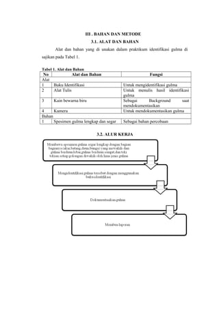 III . BAHAN DAN METODE 
3.1. ALAT DAN BAHAN 
Alat dan bahan yang di unakan dalam praktikum identifikasi gulma di 
sajikan pada Tabel 1. 
Tabel 1. Alat dan Bahan 
No Alat dan Bahan Fungsi 
Alat 
1 Buku Identifikasi Untuk mengidentifikasi gulma 
2 Alat Tulis Untuk menulis hasil identifikasi 
gulma 
3 Kain bewarna biru Sebagai Background saat 
mendokumentasikan 
4 Kamera Untuk mendokumentasikan gulma 
Bahan 
1 Spesimen gulma lengkap dan segar Sebagai bahan percobaan 
3.2. ALUR KERJA 
 