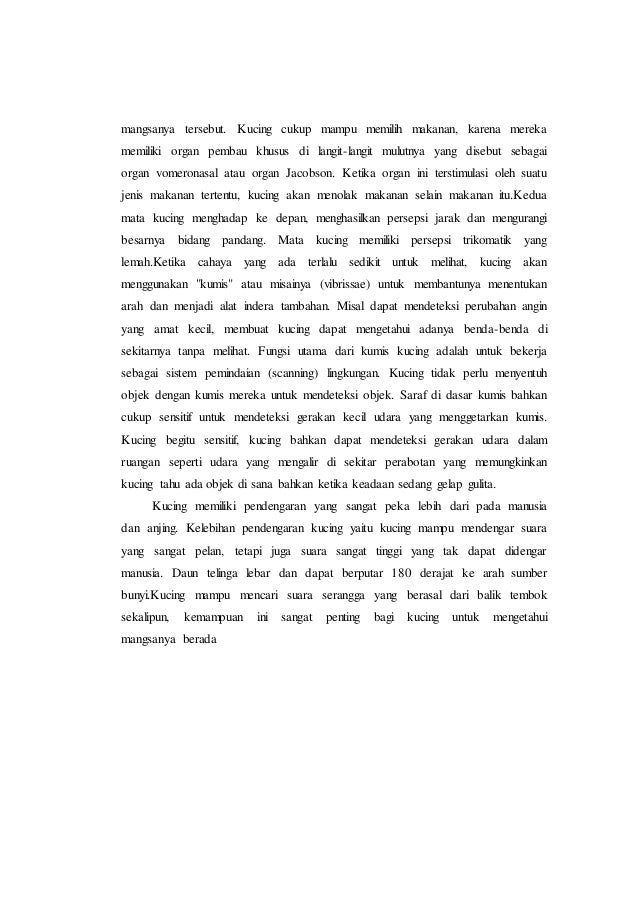 Contoh Teks Laporan Hasil Observasi Tentang Kucing Anggora Kumpulan Contoh Laporan