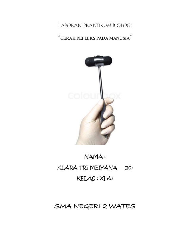 Laporan Praktikum Biologi Gerak Refleks Pada Manusia
