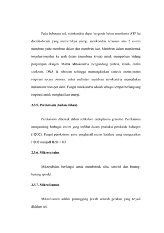 Pada beberapa sel, mitokondria dapat bergerak bebas membawa ATP ke
daerah-daerah yang memerlukan energi. mitokondria tersusun atas 2 sistem
membran yaitu membran dalam dan membran luar. Membren dalam membentuk
tonjolan-tonjolan ke arah dalam (membran krista) untuk memperluas bidang
penyerapan oksigen. Matrik Mitokondria mengandung protein, lemak, enzim
sitokrom, DNA & ribosom sehingga memungkinkan sintesis enzim-enzim
respirasi secara otonom. untuk melintasi membran mitokondria memerlukan
mekanisme transpor aktif. Fungsi mitokondria adalah sebagai tempat berlangsung
respirasi untuk menghasilkan energi.
2.3.5. Peroksisom (badan mikro)
Peroksisom dibentuk dalam retikulum endoplasma granular. Peroksisom
mengandung berbagai enzim yang terlibat dalam produksi peroksida hidrogen
(H2O2). Fungsi peroksisom yaitu penghasail enzim katalase yang menguraikan
H2O2 menjadI H2O + O2
2.3.6. Mikrotubulus
Mikrotubulus berfungsi untuk membentuk silia, sentriol dan benang-
benang spindel.
2.3.7. Mikrofilamen
Mikrofilamen adalah penanggung jawab seluruh gerakan yang terjadi
didalam sel.
 