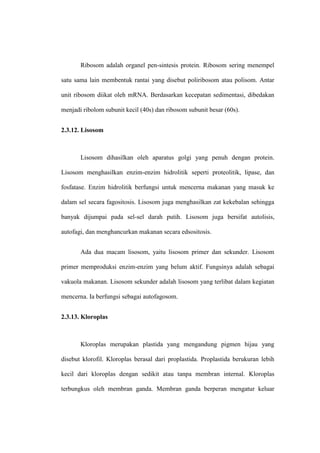 Ribosom adalah organel pen-sintesis protein. Ribosom sering menempel
satu sama lain membentuk rantai yang disebut poliribosom atau polisom. Antar
unit ribosom diikat oleh mRNA. Berdasarkan kecepatan sedimentasi, dibedakan
menjadi ribolom subunit kecil (40s) dan ribosom subunit besar (60s).
2.3.12. Lisosom
Lisosom dihasilkan oleh aparatus golgi yang penuh dengan protein.
Lisosom menghasilkan enzim-enzim hidrolitik seperti proteolitik, lipase, dan
fosfatase. Enzim hidrolitik berfungsi untuk mencerna makanan yang masuk ke
dalam sel secara fagositosis. Lisosom juga menghasilkan zat kekebalan sehingga
banyak dijumpai pada sel-sel darah putih. Lisosom juga bersifat autolisis,
autofagi, dan menghancurkan makanan secara edsositosis.
Ada dua macam lisosom, yaitu lisosom primer dan sekunder. Lisosom
primer memproduksi enzim-enzim yang belum aktif. Fungsinya adalah sebagai
vakuola makanan. Lisosom sekunder adalah lisosom yang terlibat dalam kegiatan
mencerna. Ia berfungsi sebagai autofagosom.
2.3.13. Kloroplas
Kloroplas merupakan plastida yang mengandung pigmen hijau yang
disebut klorofil. Kloroplas berasal dari proplastida. Proplastida berukuran lebih
kecil dari kloroplas dengan sedikit atau tanpa membran internal. Kloroplas
terbungkus oleh membran ganda. Membran ganda berperan mengatur keluar
 