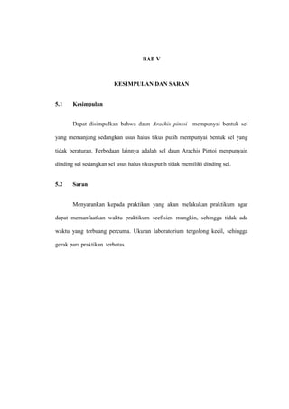 BAB V
KESIMPULAN DAN SARAN
5.1 Kesimpulan
Dapat disimpulkan bahwa daun Arachis pintoi mempunyai bentuk sel
yang memanjang sedangkan usus halus tikus putih mempunyai bentuk sel yang
tidak beraturan. Perbedaan lainnya adalah sel daun Arachis Pintoi menpunyain
dinding sel sedangkan sel usus halus tikus putih tidak memiliki dinding sel.
5.2 Saran
Menyarankan kepada praktikan yang akan melakukan praktikum agar
dapat memanfaatkan waktu praktikum seefisien mungkin, sehingga tidak ada
waktu yang terbuang percuma. Ukuran laboratorium tergolong kecil, sehingga
gerak para praktikan terbatas.
 