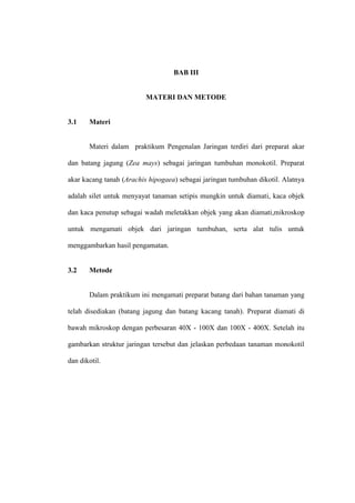 BAB III
MATERI DAN METODE
3.1 Materi
Materi dalam praktikum Pengenalan Jaringan terdiri dari preparat akar
dan batang jagung (Zea mays) sebagai jaringan tumbuhan monokotil. Preparat
akar kacang tanah (Arachis hipogaea) sebagai jaringan tumbuhan dikotil. Alatnya
adalah silet untuk menyayat tanaman setipis mungkin untuk diamati, kaca objek
dan kaca penutup sebagai wadah meletakkan objek yang akan diamati,mikroskop
untuk mengamati objek dari jaringan tumbuhan, serta alat tulis untuk
menggambarkan hasil pengamatan.
3.2 Metode
Dalam praktikum ini mengamati preparat batang dari bahan tanaman yang
telah disediakan (batang jagung dan batang kacang tanah). Preparat diamati di
bawah mikroskop dengan perbesaran 40X - 100X dan 100X - 400X. Setelah itu
gambarkan struktur jaringan tersebut dan jelaskan perbedaan tanaman monokotil
dan dikotil.
 