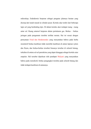 mikroskop. Endodermis berperan sebagai pengatur jalannya larutan yang
diserap dari tanah masuk ke silinder pusat. Korteks akar terdiri dari beberapa
lapis sel yang berdinding tipis. Di dalam korteks akar terdapat ruang - ruang
antar sel. Ruang antarsel berperan dalam pertukaran gas. Berkas – berkas
jaringan pada pengamatn tersebut terlihat merata. Hai ini sesuai dengan
pernyataan Fried dan Herdemendes yang menyatakan bahwa pada herba
monokotil berkas kambium tidak memiliki kambium di antara lapisan xylem
dan floem, dan berkas-berkas tersebut biasanya tersebar di seluruh batang,
terkubur di antara sel-sel parenkima yang dapat dianggap sebagai korteks atau
empulur. Hal tersebut diperkuat oleh pendapat Mulyani yang menyatakan
bahwa pada monokotil, berkas pengangkut tersebar pada seluruh batang dan
tidak terdapat kambium di antaranya.
 