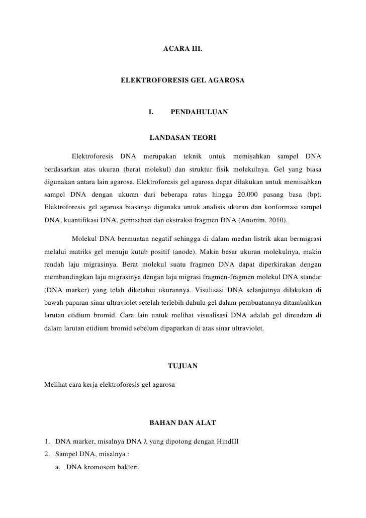 Laporan Praktikum Biologi Sel Molekuler