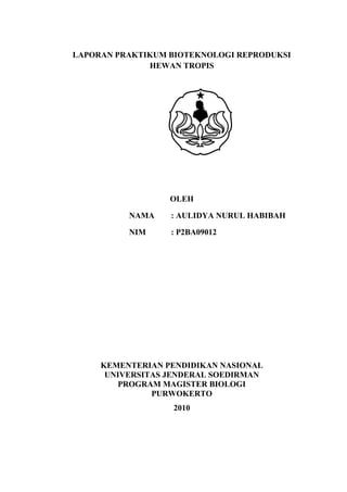 LAPORAN PRAKTIKUM BIOTEKNOLOGI REPRODUKSI HEWAN TROPIS<br />OLEH<br />NAMA: AULIDYA NURUL HABIBAH<br />NIM: P2BA09012<br />KEMENTERIAN PENDIDIKAN NASIONAL<br />UNIVERSITAS JENDERAL SOEDIRMAN<br />PROGRAM MAGISTER BIOLOGI<br />PURWOKERTO<br />2010<br />LAPORAN PRAKTIKUM BIOTEKNOLOGI REPRODUKSI HEWAN TROPIS<br />GINOGENESIS DAN ANDROGENESIS <br />OLEH<br />NAMA: AULIDYA NURUL HABIBAH<br />NIM: P2BA09012<br />KEMENTERIAN PENDIDIKAN NASIONAL<br />UNIVERSITAS JENDERAL SOEDIRMAN<br />PROGRAM MAGISTER BIOLOGI<br />PURWOKERTO<br />2010<br />,[object Object],Pertumbuhan populasi manusia yang cepat memberikan konsekuensi terhadap peningkatan kebutuhan khususnya kebutuhan nutrisi. Hal ini menyebabkan eksploitasi sumber daya alam meningkat dan mengancam eksistensi organisme tertentu, contohnya adalah ikan. Oleh karena itu diperlukan usaha untuk meningkatkan kuantitas dan kualitas ikan budidaya sehingga kebutuhan ikan terpenuhi. Melalui metode ginogenesis hal tersebut dapat tercapai. Karakteristik ikan betina yang diinginkan dapat diperoleh. Ginogenesis merupakan prosedur untuk mendapatkan ikan betina dengan inaktivasi sperma dan diploidisasi. Inaktivasi sperma dapat dilakukan dengan penyinaran UV, sinar X atau γ. Diploidisasi dapat dilakukan dengan kejut temperatur atau pemberian kemikalia yang bertujuan untuk mencegah keluarnya polar bodi dari telur (Kucharcyzk et al., 2007). Androgenesis dapat dilakukan untuk mendapatkan individu dengan genetik sama dengan induk jantannya (Stanley, 1977).<br />Ginogenesis telah dilakukan sejak 1988 oleh Quillet et al. Untuk mempelajari perkembangan embrional telur normal dengan telur ginogenetik pada ikan rainbow trout. Ginogenesis dan androgenesis dapat digunakan untuk mempelajari interupsi yang terjadi pada saat pembelahan sel pada telur terfertilisasi. Interupsi yang terjadi pada saat pembelahan mitotik dapat membentuk individu tetraploid, mitotik ginogenetik atau androgenetik homozigot. Interupsi dilakukan dengan penghentian mitosis pertama menggunakan shock tekanan atau shock temperatur. Shock tekanan dapat dilakukan pada 600 atm. Shock temperatur dapat menggunakan temperatur panas atau dingin (Peruzzi dan Chatain, 2000). Individu mitotik ginogenetik akan membawa material genetik hanya dari induk betinanya sedangkan individu androgenetik hanya membawa material genetik dari induk jantan. Penelitian mengenai kedua hal tersebut bermanfaat dalam upaya mendapatkan garis keturunan murni (inbred), konservasi untuk organisme yang terancam kepunahan (Łuczyński et al., 2004), mendapatkan populasi monosex steril (Peruzzi dan Chatain, 2000).<br />Berdasarkan penjelasan di atas maka dilakukan praktikum ginogenesis dan androgenesis yang bertujuan agar mahasiswa trampil mempraktikkan prosedur androgenesis dan ginogenesis pada ika konsumsi , misalnya nilem dengan 2 tahapan yaitu inaktivasi gamet dengan sinar UV dan diploidisasi zigot.<br />MATERI DAN METODE<br />,[object Object],1.1. Materi Praktikum<br />Bahan – bahan yang digunakan dalam praktikum meliputi ikan Cupang, ikan Nilem jantan dan betina, medium pengencer sperma (Ringer), gliserin, tisu. Alat yang digunakan dalam praktikum adalah akuarium, lampu TL UV 15 watt, wadah kultur (mangkok/ baskom), saringan teh, water bath, spuit, aerator, mikroskop, cover glass, kaca gelas, pipet, stop watch.<br />1.2. Lokasi dan Waktu Praktikum<br />Praktikum dilaksanakan di Laboratorium Fisiologi Hewan dan Laboratorium Struktur dan Perkembangan Hewan Fakultas Biologi Universitas Jenderal Soedirman Purwokerto pada tanggal 22 Juni s/d 23 Juni 2010.<br />2. Metode Praktikum<br />A. Androgenesis ikan :<br />Materi genetik telur ikan dilakukan dengan penyinaran UV dari lampu TL UV 15 watt yang disediakan selama 5 menit, kemudian poliploidisasi dilakukan dengan kejut temperatur 40 oC dalam water bath selama 1 menit, 2 menit, 3 menit (untuk perlakuan) pasca 40 menit pencampuran telur dan spermatozoa.<br />Kemudian hasilnya dikultur selama beberapa waktu untuk menilai keberhasilan prosedur androgenesis.<br />B. Ginogenesis ikan :<br />1. induk jantan (induk 6-8 jam yang sebelumnya sudah diinduksi) distriping, milt disedot dengan spuit, langsung diencerkan 100 kali penngenceran dalam larutan Ringer.<br />Milt encer diteteskan ke dalam cawan petri sedikit saja (tak lebih dari 1 mm tebal milt encer dalam cawan petri).<br />Milt encer tipis diiradiasi UV dengan panjang gelombang 254 nm dengan jarak 15 cm selama 5 menit, siap digunakan untuk membuahi .<br />Induk betina distriping, telur ditampung dalam beberapa saringan the, sesuai jumlah perlakuan dan ulangan yang diinginkan.<br />Kemudian saringan diletakkan di dalam cawan petri atau mangkok dan dibuahi dengan cara ditetesi pakai pipet dengan milt encer yang telah diiradiasi sebelumnya, dicatat waktu pencampurannya. Tiga menit dari waktu pembuahan, segera dimasukkan ke dalam water bath temperature 40 oC selama 90 detik dipantau dengan stopwatch.<br />Telur terbuahi diinkubasi ke dalam bak penetasan ber-aerator yang sudah disiapkan sebelumnya.<br />Telur lainnya dibuahi spermatozoa yang telah diiradiasi, tapi tak dikejutpanaskan, tapi langsung ditetaskan sebagai control langkah kedua ginogenesis, hasilnya individu haploid..<br />Telur lainnya dibuahi spermatozoa yang tidak diiradiasi sebagai kontrol prosedur tidak ginogenesis..<br />Nilem menetas sekitar 24 jam dan masing – masing kelompok (minimal empat perlakuan yaitu (1) dua tahap prosedur ginogenesis sperma diiradiasi, dibuahkan ke telur, telur terbuahi dikejutpanaskan prosedur diploidisasi; (2) kontrol : ginogenesis satu tahap yaitu sperma diiradiasi, dibuahkan ke telur, telur ditetaskan, tak dikejutpanaskan sehingga hasilnya tidak diploid atau haploid; (3) kontrol juga : sperma dan telur tidak mendapatkan perlakuan, hanya dicampurkan dan ditetaskan.<br /> Penetasan telur diamati.<br />Larva menetas diambil sampling untuk diamati di bawah mikroskop mengenai morfologinya; larva perlakuan ginogenesis (1) diamati dan juga larva – larva perlakuan lainnya.<br />Pengamatan dan pencatatan data survival larva dilakukan tiap hari, hingga dihentikan ketika semua larva sudah mati atau praktikum dihentikan setelah larva umur 7 hari.<br />HASIL DAN PEMBAHASAN<br />Hasil<br />Tabel 3.a.1. Penetasan telur ginogenesis, androgenesis dan kontrol (+ dan -) <br />No.PerlakuanTelur yang menetasTelur yang tidak menetas1.Kontrol (+) adaAda (beberapa)2.GinogenesisTidak adaTidak ada3.AndrogenesisTidak adaTidak ada4. Kontrol (-) iradiasi, tanpa perlakuan kejutpanas Tidak adaTidak ada<br />B. Pembahasan<br />3.b.1. Ginogenesis<br />Hasil yang diperoleh dari praktikum untuk ginogenesis adalah gagal yaitu telur tidak menetas sedangkan perlakuan kontrol normal diploid tanpa perlakuan menetas dengan beberapa telur yang juga tidak menetas. Telur kontrol ginogenesis dengan perlakuan iradiasi sperma tanpa kejut panas tidak menetas. Prosedur ginogenesis yang dilakukan sudah sesuai prosedur petunjuk praktikum. Ginogenesis dilakukan dengan menginaktivkan sperma sehingga material genetickhanya berasal dari telur. Sperma dengan tingkat motilitas 70 % dapat digunakan untuk ginogenesis. Sperma tersebut diencerkan dengan 0,85 % NaCl dengan perbandingan 1 : 9. Perlakuan ini bertujuan untuk mengimmobilisasi sperma. Sebanyak 2,5 ml sperma yang telah diencerkan tersebut dimasukkan ke dalam cawan petri dengan ketebalan 1 mm untuk iradiasi di bawah sinar UV. Waktu iradiasi sinar UV minimal 1 menit (Kucharcyzk et al., 2007) atau 2 – 12 menit (Peruzzi dan Chatain, 2000). Perlakuan kejutpanas pasa saat praktikum adalah 1 menit , 2 menit dan 3 menit. Perlakuan ini dilakukan 3 menit pasca pencampuran milt dan telur. Menurut Kucharcyzk et al. (2007), kejutpanas untuk ploidisasi dilakukan 10 menit, 12 menit, 14  menit, 16 menit, 18 menit setelah pencampuran telur dan sperma selama 3 – 5 menit. <br />Tidak menetasnya telur ginogenesis dapat disebabkan oleh beberapa hal, diantaranya kondisi telur yang overripe. Kondisi ini terjadi karena interval waktu pengambilan telur dengan waktu induksi terlalu lama yaitu lebih dari 8 jam. Kondisi ini tidak menguntungkan bagi proses fertilsasi. Telur yang digunakan untuk ginogenesis adalah telur segar yang diperoleh dari induksi hormonal. Hal tersebut dapat dilihat dari penelitian Kucharcyzk et al. (2007) bahwa penggunaan telur dari induk betina dapat digunakan maksimal 60 menit setelah dikeluarkan dari tubuh dengan penyimpanan pada suhu dingin. Penyimpanan telur untuk ginogenesis dilakukan juga oleh Quillet et al. (1988) pada suhu 4 oC. <br />Kondisi overripe telur ikan Nilem betina pada saat praktikum menurunkan kemampuan telur untuk berkembang, walaupun telur ini dapat difertilisasi. Kesuksesan fertilisasi ditunjukkan dengan terbentuknya ruang perivitelina dan hillock yang diamati sesaat setelah fertilisasi dilakukan. Kondisi overripe terjadi karena keterlambatan oviposisi telur. Telur yang telah matang akan mengalami ovulasi. Pada ikan telur yang telah matang ditampung di ovarium atau rongga perut sesaat sebelum dioviposisikan. Telur tersebut akan mengatur kemampuannya (peningkatan kompetensi) untuk dapat difertilisasi selama beberapa saat. Apabila telur yang telah mengalami peningkatan kompetensi tersebut tidak dipijahkan maka telur mengalami overripe dan dapat berlanjut menjadi atresia. Telur yang akan dipakai untuk kepentingan fertilisasi in vitro yang diperoleh sebelum overripe. Oleh karena itu striping pada ikan betina dilakukan sebelum telur mengalami over-ripening terjadi (Cabrita et al., 2008). <br />Telur kontrol tanpa perlakuan menetas dengan beberapa yang tidak menetas. Namun presentase penetasan telur tidak dihitung sehingga tingkat keberhasilan penetasan telur tidak dapat ditetapkan. Penelitian Kucharcyzk et al. (2007) dan  Ying Pan et al. (2004) menunjukkan bahwa telur yang difertilisasikan dengan sperma tanpa perlakuan iradiasi (kontrol) memiliki nilai penetasan dan survival rate yang paling tinggi dibandingkan telur ginogenesis dengan atau tanpa perlakuan kejutpanas. Perlakuan iradiasi sinar UV dan kejutpanas secara berurutan memberikan konsekuensi pada penurunan jumlah telur yang menetas dan larva yang survive (Kucharcyzk et al., 2007). Kondisi telur overripe saat praktikum menambah tingkat penurunan jumlah telur yang menetas dan larva yang survive bahkan gagal menetas.<br />3.2. Androgenesis<br />Perlakuan androgenesis yang dilakukan juga mengalami kegagalan yang signifikan karena tidak ada satupun telur yang menetas. Prosedur yang dilakukan selama praktikum sesuai dengan prosedur untuk androgenesis yaitu inaktivasi telur dilanjutkan dengan ploidisasi zigot (Stanley, 1977). Prosedur androgenesis cukup rumit dan berisiko gagal, sehingga dalam budidaya (biasanya untuk) ikan hias, sex reversal menggunakan hormon lebih sering dilakukan untuk memperoleh individu jantan, seperti yang dilakukan oleh Huwoyon et al., (2008) pada ikan gupi.<br />,[object Object]