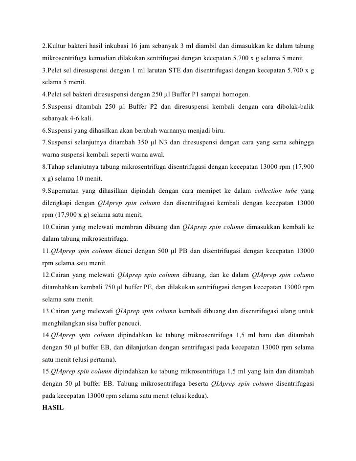 Laporan Praktikum Bologi Sel Molekuler_Ma�ruf_P2BA09006 Laporan Praktikum Bologi Sel Molekuler_Ma�ruf_P2BA09006