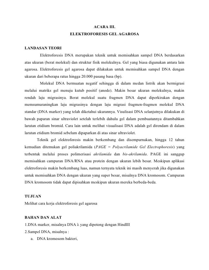 Laporan Praktikum Bologi Sel Molekuler Ma Ruf P2ba09006