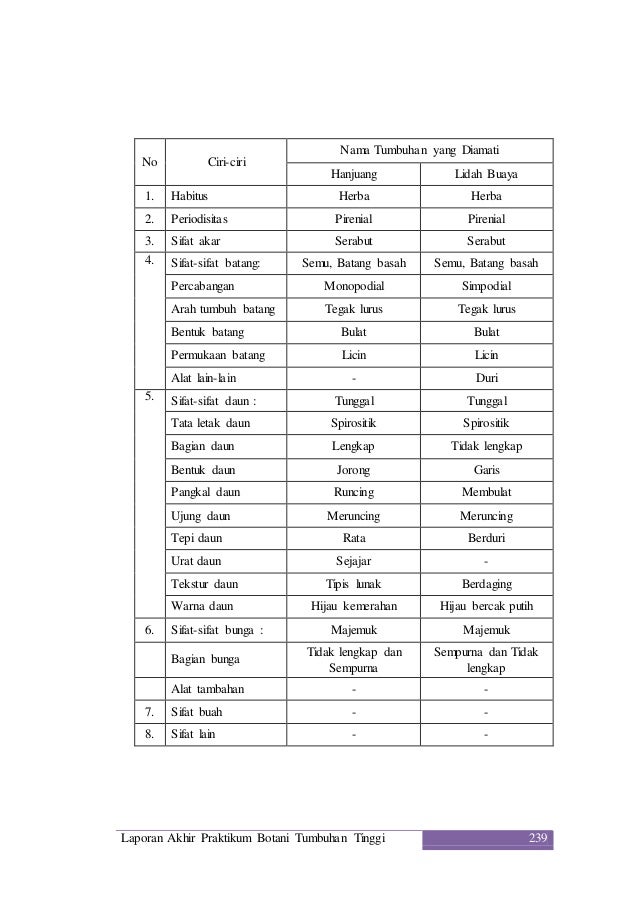 Laporan praktikum botani tumbuhan tinggi 8 sub classis 