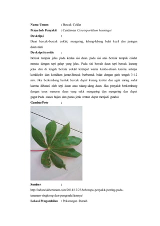 Nama Umum : Bercak Coklat
Penyebab Penyakit : Cendawan Cercosporidium henningsi
Deskripsi :
Daun bercak-bercak coklat, mengering, lubang-lubang bulat kecil dan jaringan
daun mati
Deskripsi teoritis :
Bercak tampak jelas pada kedua sisi daun. pada sisi atas bercak tampak coklat
merata dengan tepi gelap yang jelas. Pada sisi bawah daun tepi bercak kurang
jelas dan di tengah bercak coklat terdapat warna keabu-abuan karena adanya
konidiofor dan konidium jamur.Bercak berbentuk bulat dengan garis tengah 3-12
mm. Jika berkembang bentuk bercak dapat kurang teratur dan agak miring sudut
karena dibatasi oleh tepi daun atau tulang-ulang daun. Jika penyakit berkembang
dengan terus menerus daun yang sakit menguning dan mengering dan dapat
gugur.Pada cuaca hujan dan panas jenis rentan dapat menjadi gundul.
Gambar/Foto :
Sumber :
http://indonesiabertanam.com/2014/12/23/beberapa-penyakit-penting-pada-
tanaman-singkong-dan-pengendaliannya/
Lokasi Pengambilan : Pekarangan Rumah
 