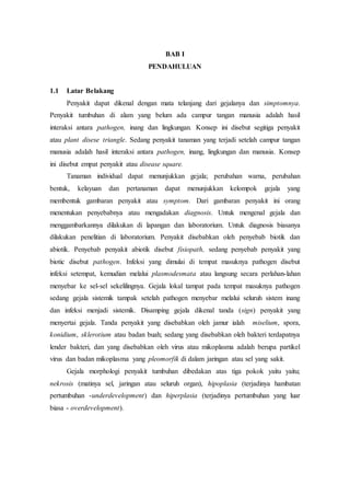 BAB I
PENDAHULUAN
1.1 Latar Belakang
Penyakit dapat dikenal dengan mata telanjang dari gejalanya dan simptomnya.
Penyakit tumbuhan di alam yang belum ada campur tangan manusia adalah hasil
interaksi antara pathogen, inang dan lingkungan. Konsep ini disebut segitiga penyakit
atau plant disese triangle. Sedang penyakit tanaman yang terjadi setelah campur tangan
manusia adalah hasil interaksi antara pathogen, inang, lingkungan dan manusia. Konsep
ini disebut empat penyakit atau disease square.
Tanaman individual dapat menunjukkan gejala; perubahan warna, perubahan
bentuk, kelayuan dan pertanaman dapat menunjukkan kelompok gejala yang
membentuk gambaran penyakit atau symptom. Dari gambaran penyakit ini orang
menentukan penyebabnya atau mengadakan diagnosis. Untuk mengenal gejala dan
menggambarkannya dilakukan di lapangan dan laboratorium. Untuk diagnosis biasanya
dilakukan penelitian di laboratorium. Penyakit disebabkan oleh penyebab biotik dan
abiotik. Penyebab penyakit abiotik disebut fisiopath, sedang penyebab penyakit yang
biotic disebut pathogen. Infeksi yang dimulai di tempat masuknya pathogen disebut
infeksi setempat, kemudian melalui plasmodesmata atau langsung secara perlahan-lahan
menyebar ke sel-sel sekelilingnya. Gejala lokal tampat pada tempat masuknya pathogen
sedang gejala sistemik tampak setelah pathogen menyebar melalui seluruh sistem inang
dan infeksi menjadi sistemik. Disamping gejala dikenal tanda (sign) penyakit yang
menyertai gejala. Tanda penyakit yang disebabkan oleh jamur ialah miselium, spora,
konidium, sklerotium atau badan buah; sedang yang disebabkan oleh bakteri terdapatnya
lender bakteri, dan yang disebabkan oleh virus atau mikoplasma adalah berupa partikel
virus dan badan mikoplasma yang pleomorfik di dalam jaringan atau sel yang sakit.
Gejala morphologi penyakit tumbuhan dibedakan atas tiga pokok yaitu yaitu;
nekrosis (matinya sel, jaringan atau seluruh organ), hipoplasia (terjadinya hambatan
pertumbuhan -underdevelopment) dan hiperplasia (terjadinya pertumbuhan yang luar
biasa - overdevelopment).
 