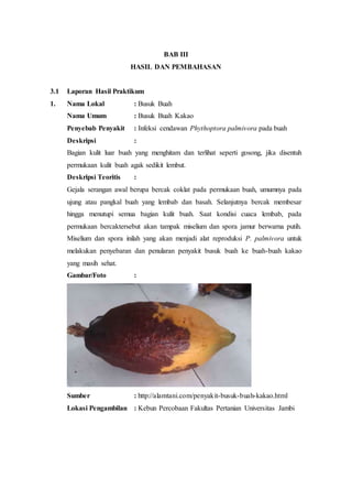 BAB III
HASIL DAN PEMBAHASAN
3.1 Laporan Hasil Praktikum
1. Nama Lokal : Busuk Buah
Nama Umum : Busuk Buah Kakao
Penyebab Penyakit : Infeksi cendawan Phythoptora palmivora pada buah
Deskripsi :
Bagian kulit luar buah yang menghitam dan terlihat seperti gosong, jika disentuh
permukaan kulit buah agak sedikit lembut.
Deskripsi Teoritis :
Gejala serangan awal berupa bercak coklat pada permukaan buah, umumnya pada
ujung atau pangkal buah yang lembab dan basah. Selanjutnya bercak membesar
hingga menutupi semua bagian kulit buah. Saat kondisi cuaca lembab, pada
permukaan bercaktersebut akan tampak miselium dan spora jamur berwarna putih.
Miselium dan spora inilah yang akan menjadi alat reproduksi P. palmivora untuk
melakukan penyebaran dan penularan penyakit busuk buah ke buah-buah kakao
yang masih sehat.
Gambar/Foto :
Sumber : http://alamtani.com/penyakit-busuk-buah-kakao.html
Lokasi Pengambilan : Kebun Percobaan Fakultas Pertanian Universitas Jambi
 
