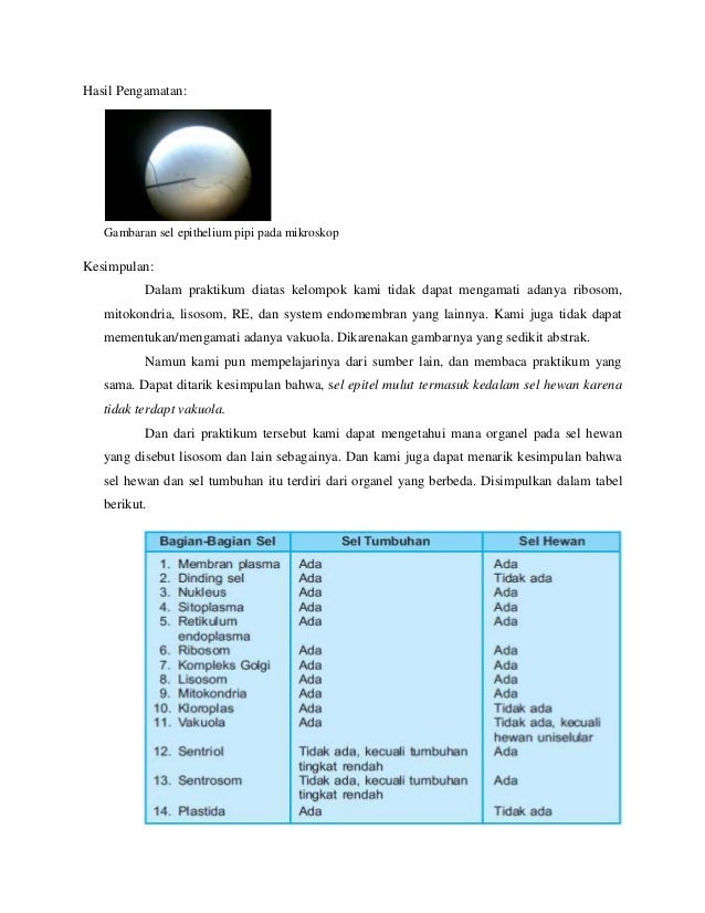 Laporan Praktikum Difusi Osmosis Plasmolisis