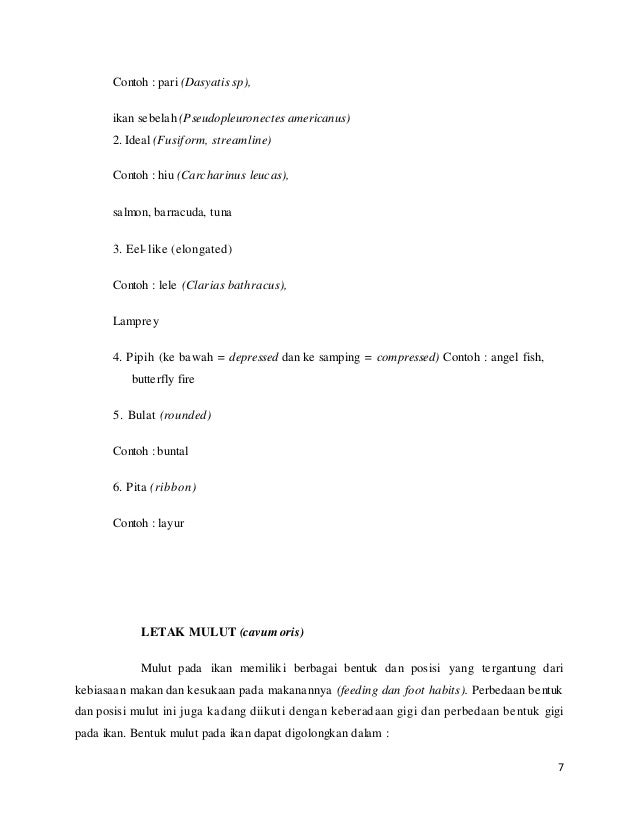 Laporan praktikum fha