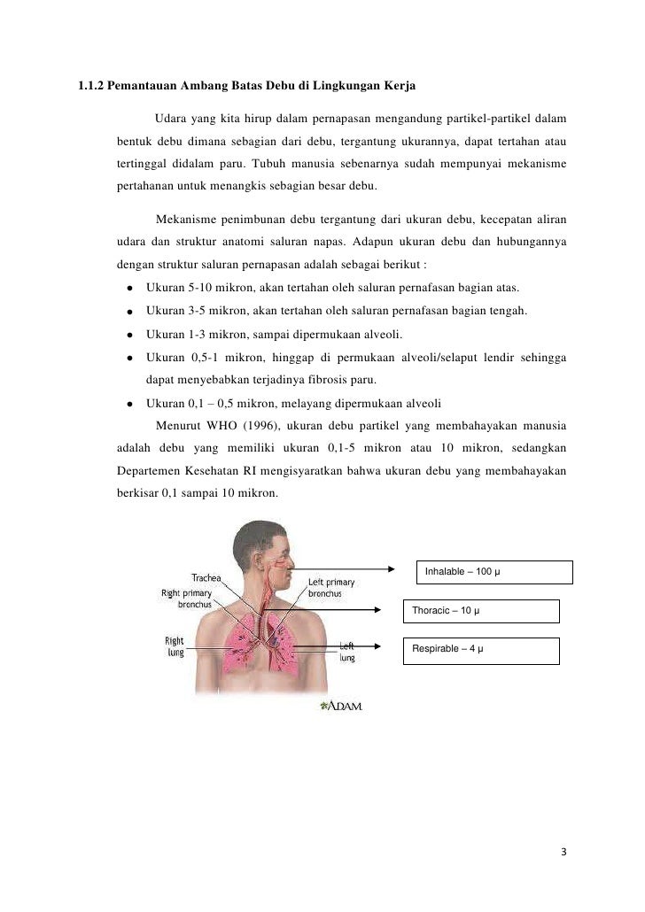 Praktikum Pengukuran kadar debu, amonia, timbal dan 