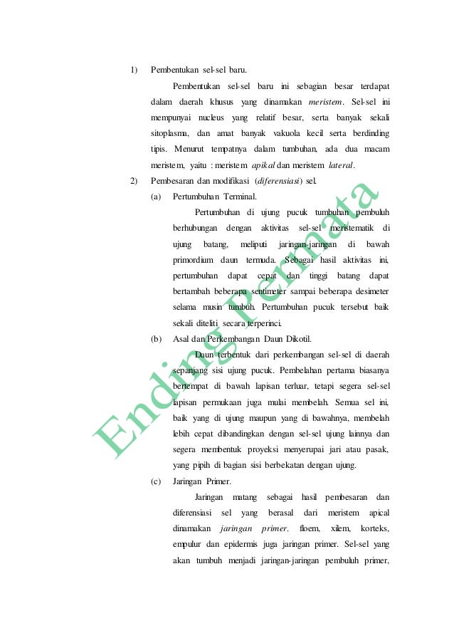 Laporan Praktikum II Batang (Caulis)