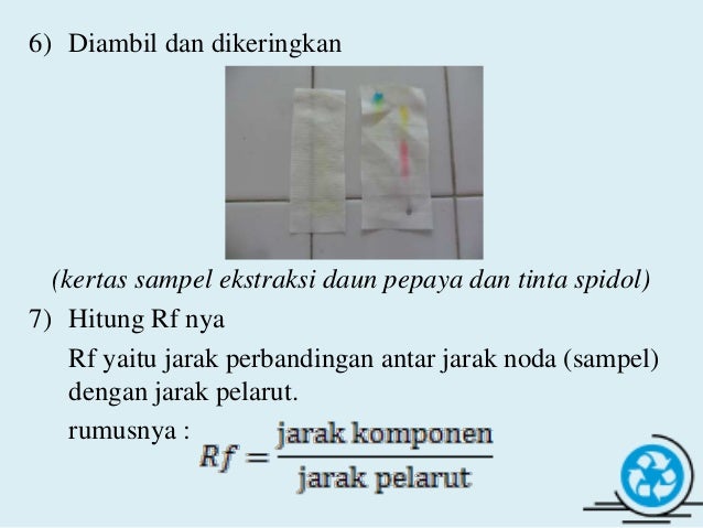 Laporan Praktikum Kromatografi Kertas