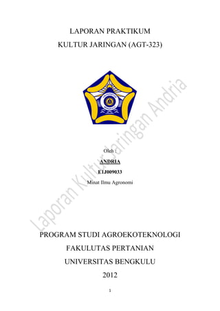 LAPORAN PRAKTIKUM
   KULTUR JARINGAN (AGT-323)




                Oleh :

               ANDRIA

              E1J009033

          Minat Ilmu Agronomi




PROGRAM STUDI AGROEKOTEKNOLOGI
     FAKULUTAS PERTANIAN
     UNIVERSITAS BENGKULU
                2012
                   1
 