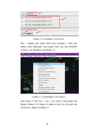 Laporan Praktikum Penginderaan Jauh - Dasar Pengolahan Citra Digital ...