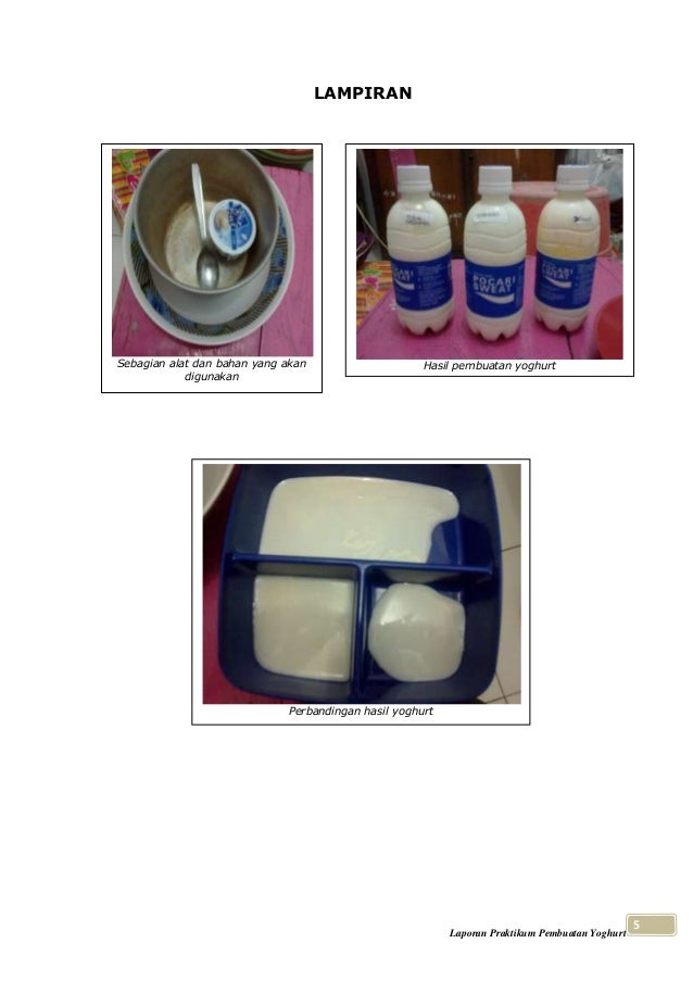 Laporan praktikum pembuatan yoghurt