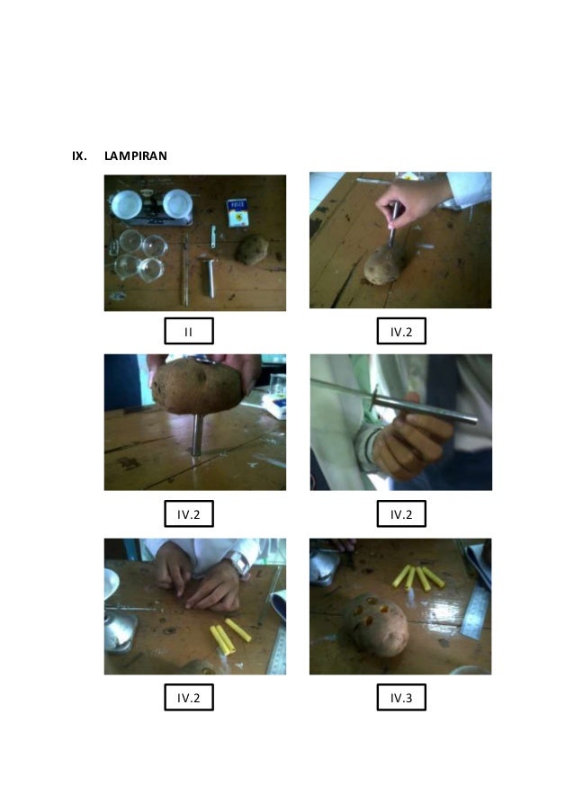 Laporan praktikum peristiwa osmosis pada kentang