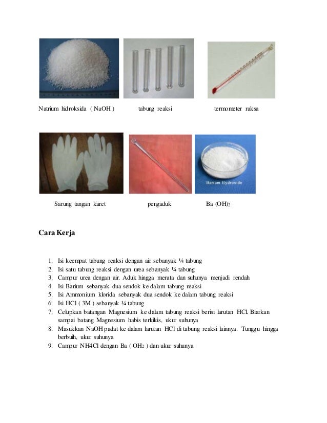 cara tangan ukur sarung ENDOTERM REAKSI LAPORAN PRAKTIKUM REAKSI EKSOTERM DAN