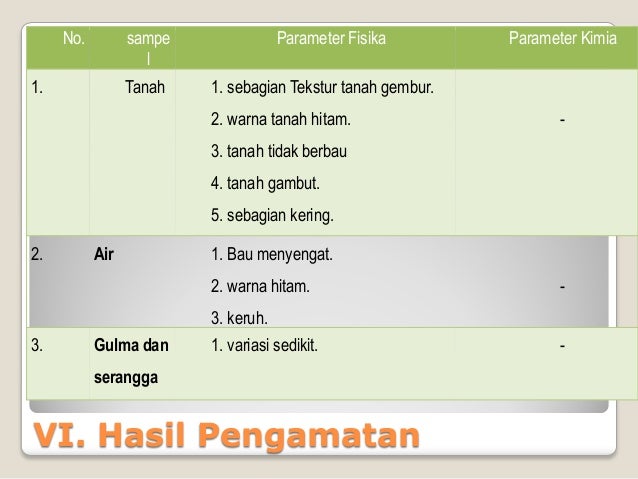 Laporan praktikum pengamatan dampak perebunan sawit
