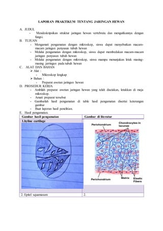 LAPORAN PRAKTIKUM TENTANG JARINGAN HEWAN 
A. JUDUL 
- Mendeskripsikan struktur jaringan hewan vertebrata dan mengaitkannya dengan 
fungsi. 
B. TUJUAN 
- Mengamati pengamatan dengan mikroskop, siswa dapat menyebutkan macam-macam 
jaringan penyusun tubuh hewan 
- Melalui pengamatan dengan mikroskop, siswa dapat membedakan macam-macam 
jaringan penyusun tubuh hewan 
- Melalui pengamatan dengan mikroskop, siswa mampu menunjukan letak masing-masing 
jarringan pada tubuh hewan 
C. ALAT DAN BAHAN 
 
Alat : 
- Mikroskop lengkap 
 
Bahan : 
- Preparat awetan jaringan hewan 
D. PROSEDUR KERJA 
- Ambilah preparat awetan jaringan hewan yang telah diseiakan, letakkan di meja 
mikroskop. 
- Amati preparat tersebut 
- Gambarlah hasil pengamatan di table hasil pengamatan disertai keterangan 
gambar 
- Buat laporan hasil penelitian. 
E. Hasil pengamatan. 
Gambar hasil pengamatan Gambar di literatur 
1.hyline cartilage 
2. Epitel squamasum 2. 
 