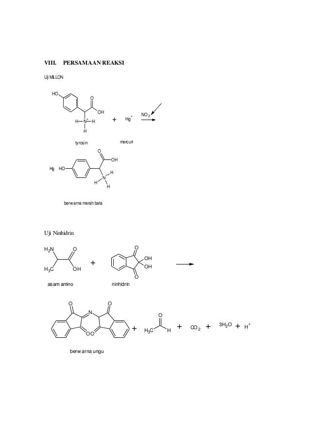 Laporan Praktikum Uji Asam Amino