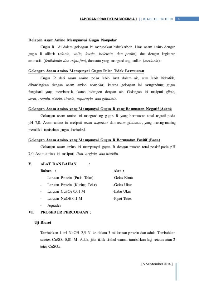 Laporan Praktikum Uji Protein Dg Uji Biuret