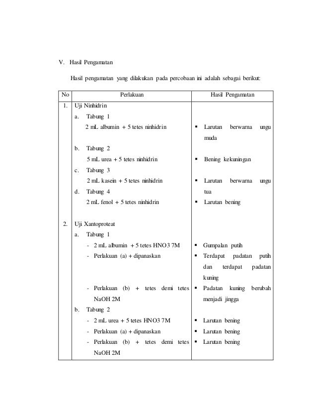 Laporan Protein Catur